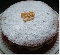 Susie's Cake June 2008