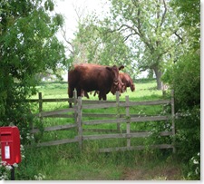 20 May 2008 - Hemingway 044