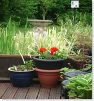 20 May 2008 - Hemingway 084