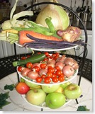 Village Veg Show August30 2008 002