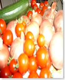 Village Veg Show August30 2008 005