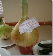 Village Veg Show August30 2008 009