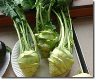 Village Veg Show August30 2008 015