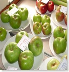 Village Veg Show August30 2008 018