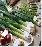 Village Veg Show August30 2008 019