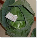 Village Veg Show August30 2008 020