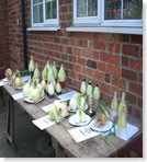 Village Veg Show August30 2008 031