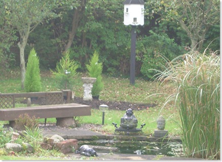 Late October - Hemingway - 2008 002