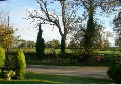 Late October - Hemingway - 2008 006