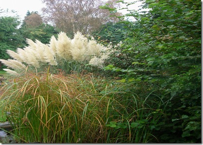 Hemingway13 th October 2008 001