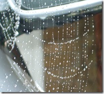 Hemingway13 th October 2008 002