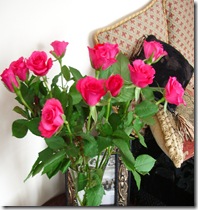 23 November 2008 012