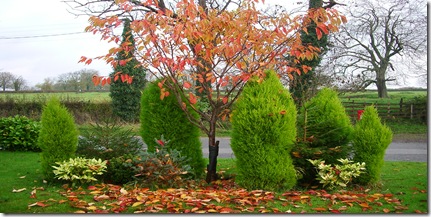 November 7th 2008 003