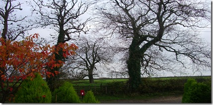 November 7th 2008 004