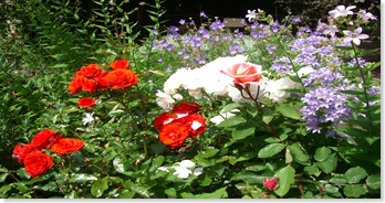 Open Gardens June 2009 053