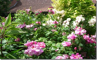 Open Gardens June 2009 050