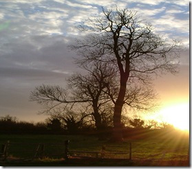 sunrise - Jane  from Hemingby 2007