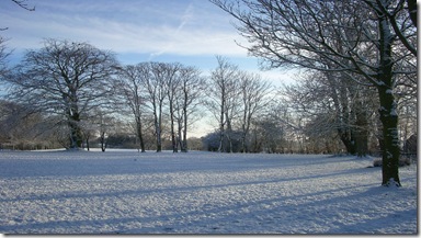 4200338077_6104134b96_b