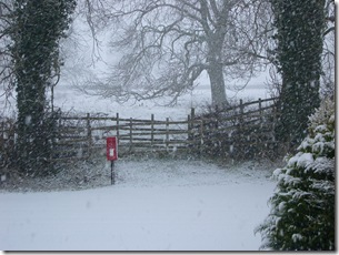 Snow again In Feb 2010 007