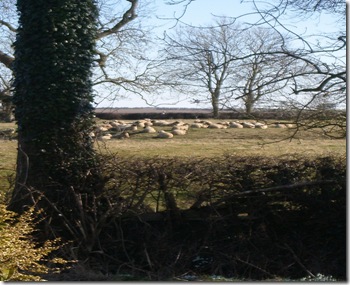 4433506778_ab26c6a10a_b