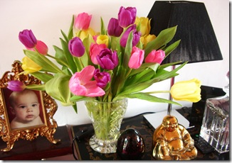Tulips on Mothers Day 2010 010