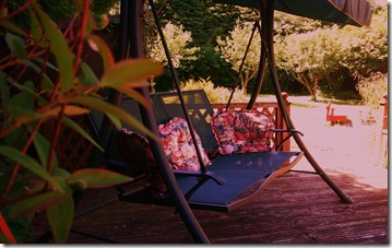 Garden Swing Photos June 2010 009