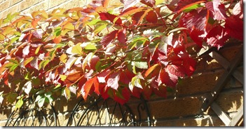 Views On A Sunny September Day 013