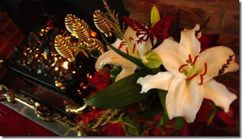 Beautiful Lilies _ October 2010 008