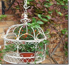 Autumn Days Of November2010 009