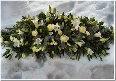 Hamada's flowers Dec 6th 2010