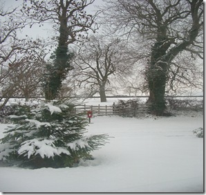 Snow NovDec 2010 010