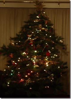 Xmas tree 2010 006