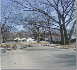 Hamada's Tree From Micheal Morse.