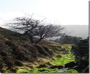 The Peak District - Jan 2012 058